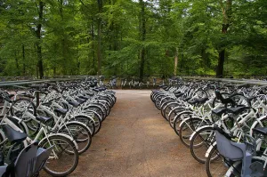 Beleef De Hoge Veluwe! Stap op de fiets en geniet van de natuur! Foto:  Deb Collins/Flickr 