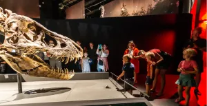 Vulkaanuitbarstingen en flirtende dieren in Naturalis Kijk Trix recht in haar bek in het vernieuwde Naturalis. Foto: Naturalis / Koen Mol.