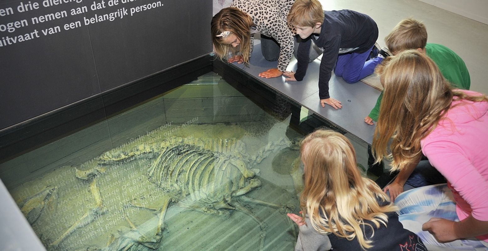 De oudste verdedigingswerken tegen het water, de wierden of terpen, geven hun geheimen prijs in Museum Wierdenland. Daar kun je onder andere dit paardengraf zien. Foto: Museum Wierdenland