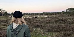 Ontdek de mooie natuur van Nederland met deze tips