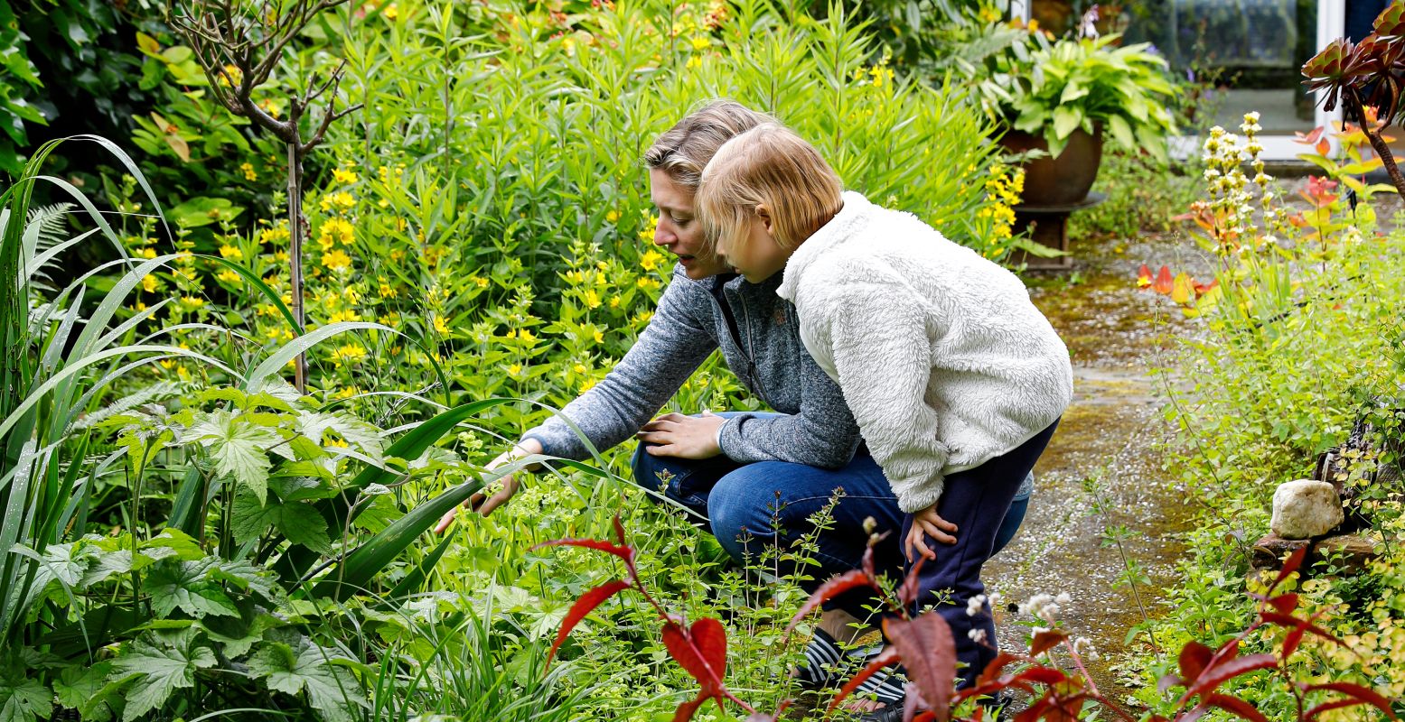 Samen de tuinenroute volgen. Foto: Groei & Bloei © Samen de tuinenroute volgen. Foto: Groei & Bloei ©