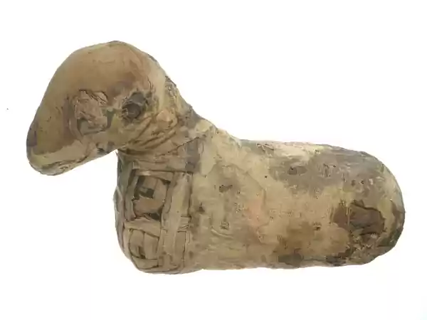 Dit lammetje is een mummie geworden. Foto: Rijksmuseum van Oudheden
