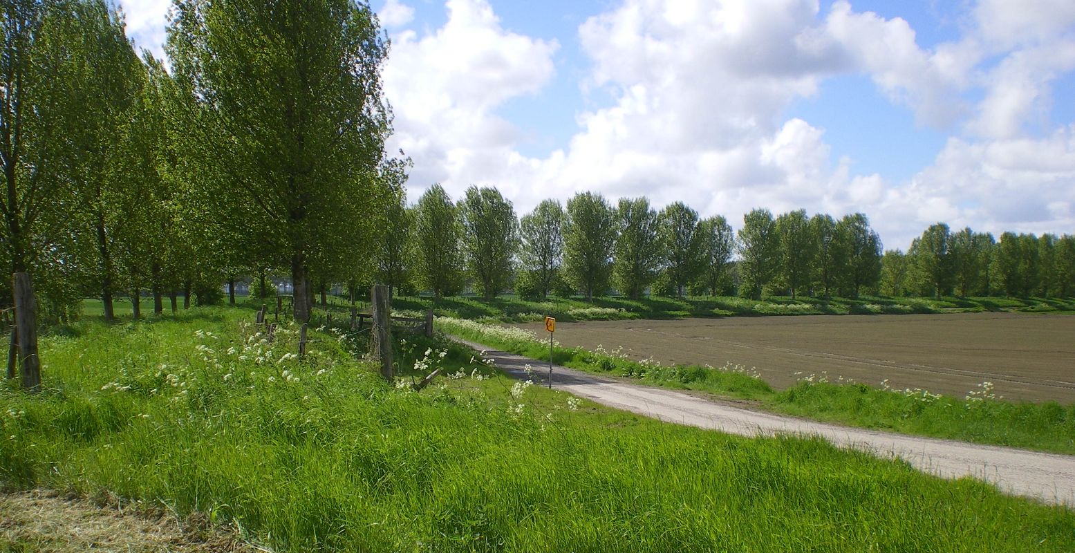 Het is fijn wandelen en fietsen over de mooie dijkjes van Zeeuws-Vlaanderen. Foto: DagjeWeg.NL © Henk Arendse