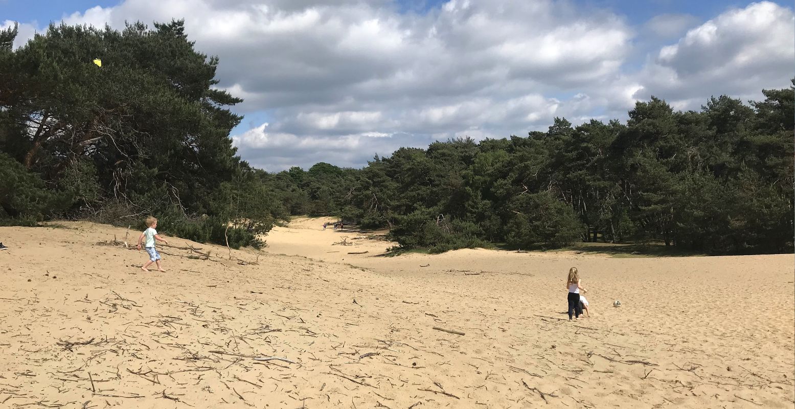 Het Wekeromse Zand is een bijzonder natuurgebied én een fijne speelplek voor kinderen. Foto: DagjeWeg.NL