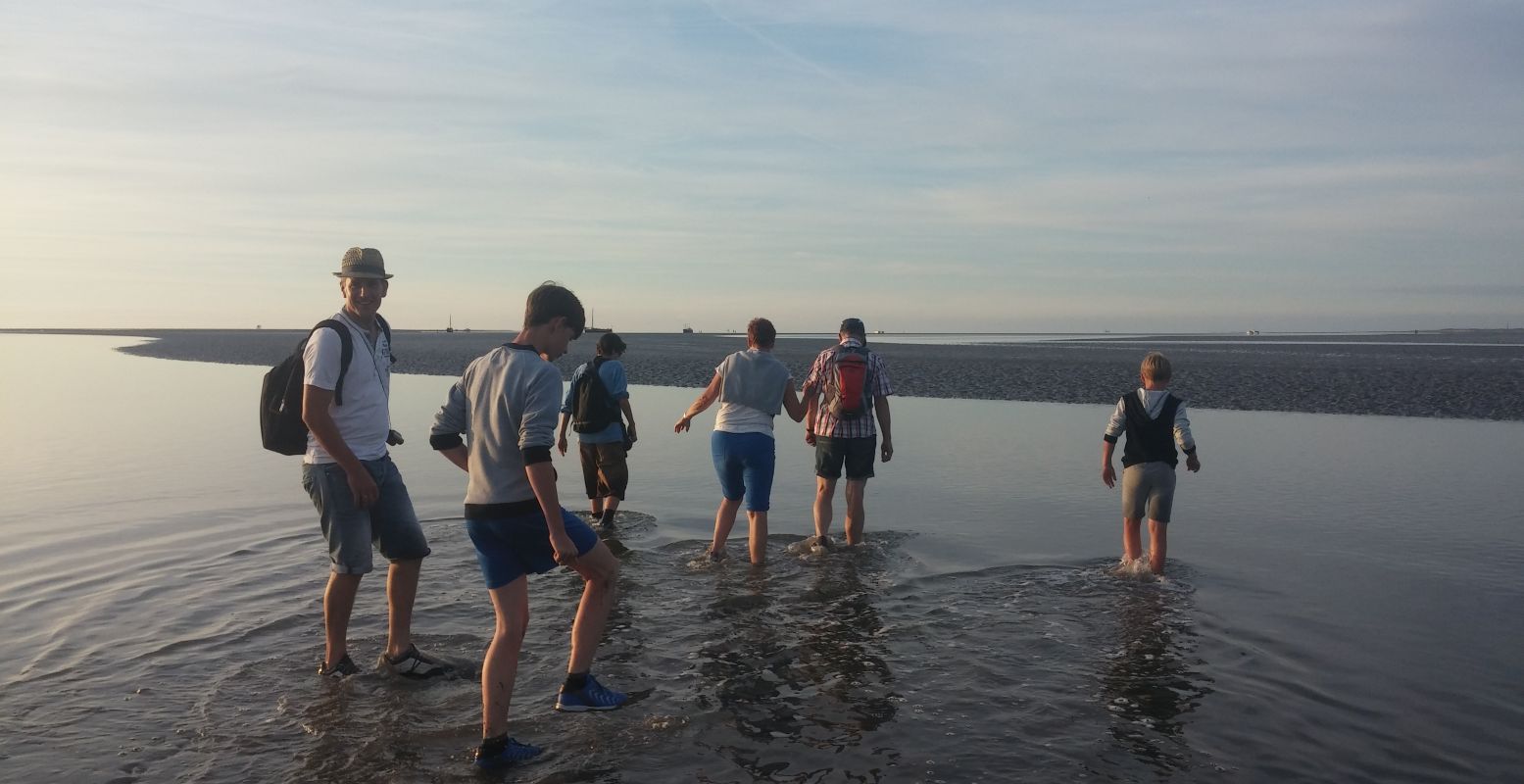 Stappen op [B[Werelderfgoed Waddenzee]B]