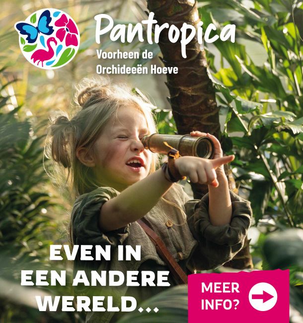 Wat Te Doen In Reuver Dagje Reuver. Wat te doen in Reuver en omgeving? Top-6