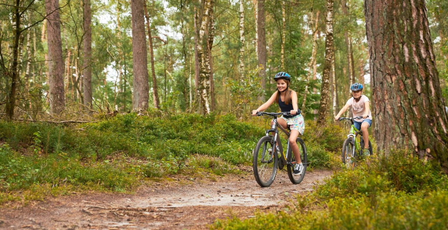 Race door de bossen rond Epe vanaf RCN Vakantiepark de Jagerstee. Foto: Visit Veluwe