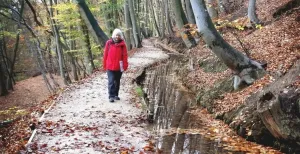 Heerlijk wandelen in de natuur - daar kom je van bij! Bij vlagen magisch. De Bondswandeling Nijmegen Plasmolen is een wandeling waar je voortdurend denkt: ben ik nog in Nederland? Foto: Fiets en Wandelbeurs