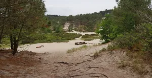 Zon, zee, strand: vier de zomer in de Kop van Noord-Holland! De Schoorlse Duinen: de breedste en hoogste duinen van Nederland. Foto: Henk Arendse