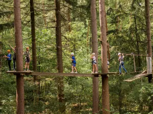 Balanceer op een meters hoge balk. Foto: Klimbos Garderen