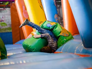 Dollen op het springkussen. Foto: Ballorig © Leonie Kuizinga