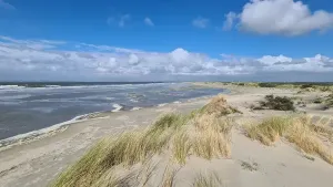 Excursie 