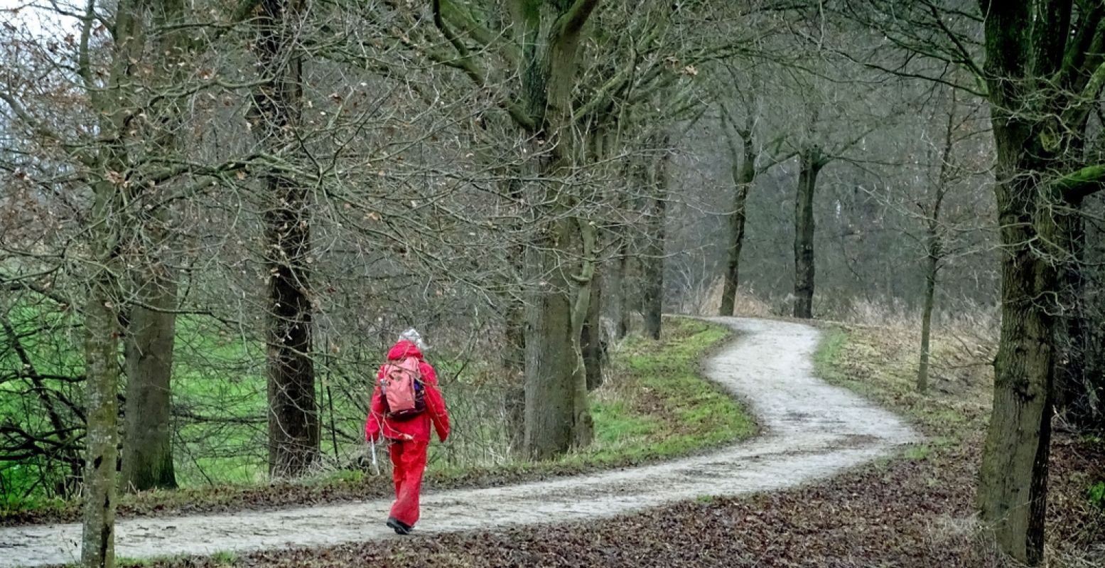 Wandelen langs het Bieschbospad. Foto: Fiets en Wandelbeurs