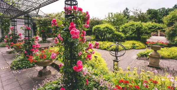 Op Rozenfestijn Kasteeltuinen Arcen bloeit de romantiek op