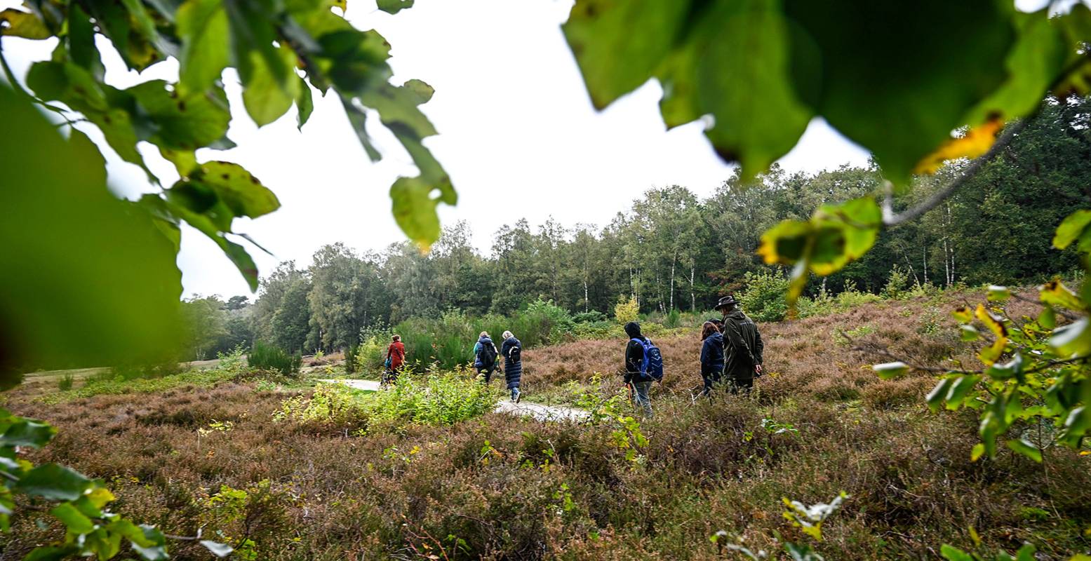 Tijdens een wandeling door Nationaal Park de Utrechtse Heuvelrug kom je geheid tot rust. Foto: Stichting RBT-HV © Anne Hamers Tijdens een wandeling door Nationaal Park de Utrechtse Heuvelrug kom je geheid tot rust. Foto: Stichting RBT-HV © Anne Hamers