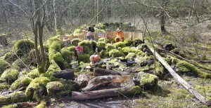 Kabouter- en elfenpaden: even worden sprookjes echt Een compleet kabouterdorpje in Kabouterbos Renesse, waar je de kabouters overal in het bos tegenkomt. Foto: Nikki Arendse