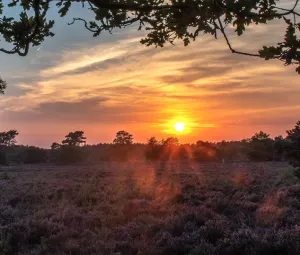 Avondwandeling Foto geüpload door gebruiker Geldersch Landschap en Kasteelen