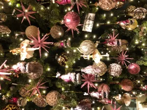 Kerst Fonkelend en Verrassend Foto: De OranjerieFoto geüpload door gebruiker.