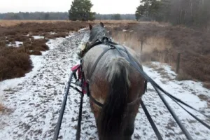 Warme winteruitjes