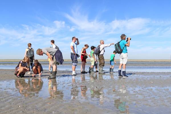 Kwelder, Wad en Lepelaars - De Schorren Texel Kwelder, Wad en Lepelaars - De Schorren Texel | Foto ge&uuml;pload door gebruiker Natuurmonumenten.