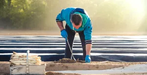 Smakelijke fietstochten langs het witte goud Zie hoe aspergetelers aan het werk zijn tijdens een aspergetocht. Foto: Limburg Marketing © Petra Lenssen