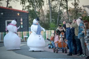 Winter bij Vakantiepark Molenwaard Foto geüpload door gebruiker Stichting Liniebreed Ondernemen.