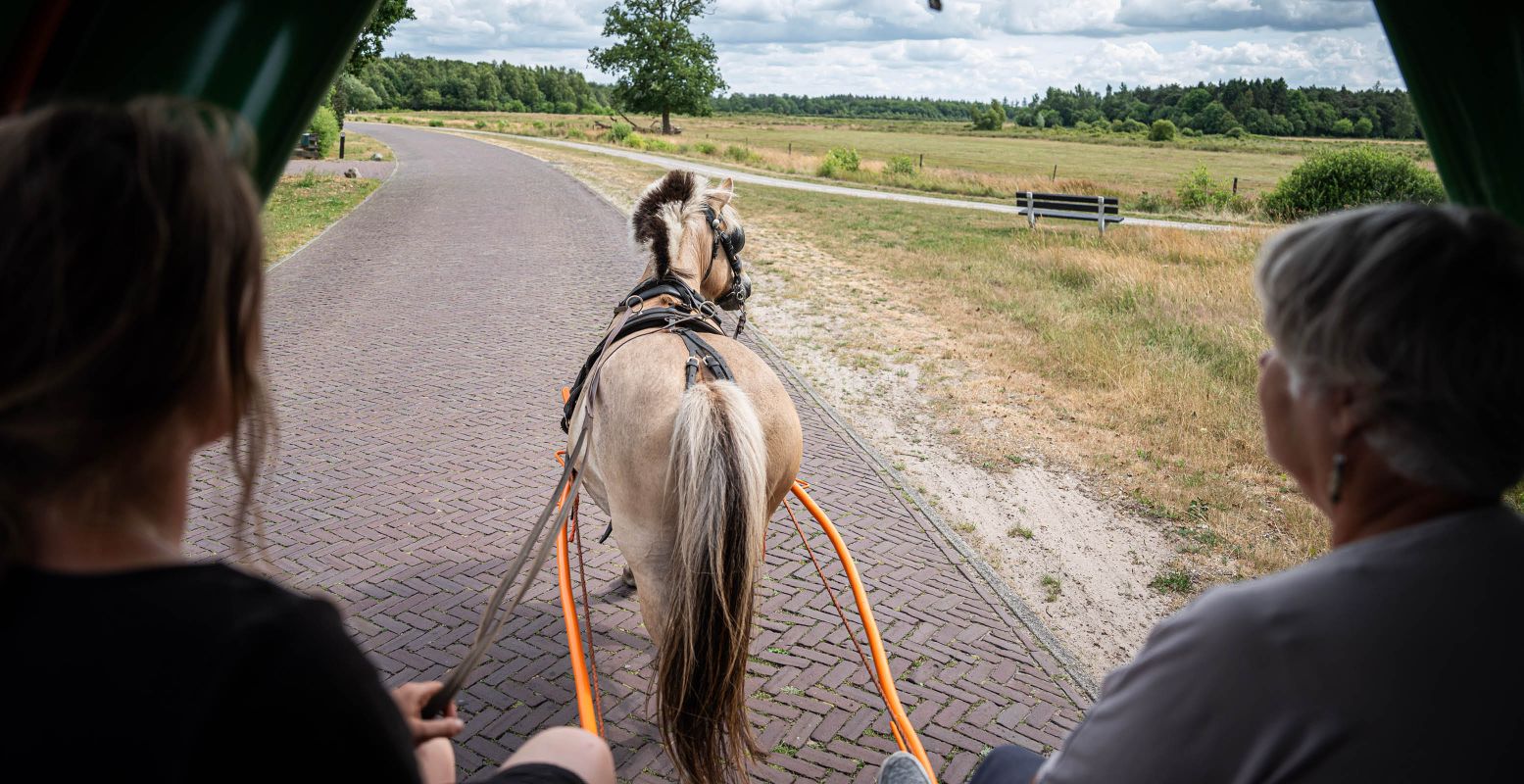 En maar schommelen en maar kijken naar de kont van 't paard. Foto: Huifkarverhuur Estelle