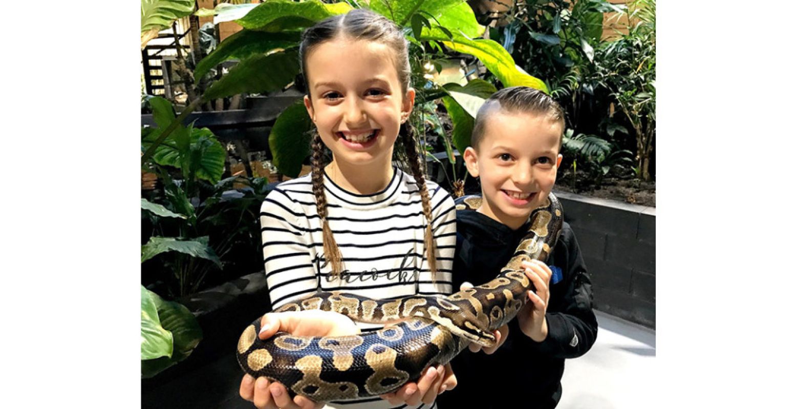 Durf jij een slang vast te houden bij Reptielenhuis De Aarde? Foto: Reptielenhuis De Aarde