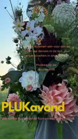 foto:zuiderkrib foto:zuiderkrib