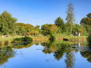 Vijver in het Westbroekpark. Foto: The Hague & Partners © Arjan de Jager