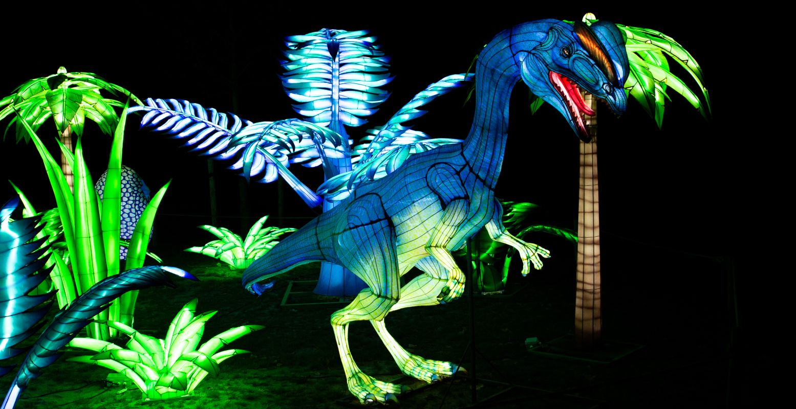 Spot lichtgevende dinosauriërs tijdens Light Nights in Ouwehands Dierenpark. Foto: Ouwehands Dierenpark