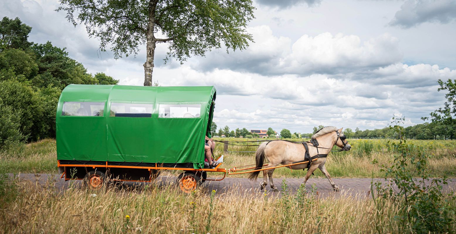 Geniet van een heerlijk ritje door het Drentse landschap. Foto: Huifkarverhuur Estelle