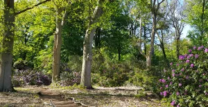 Arboretum Oostereng Wageningen