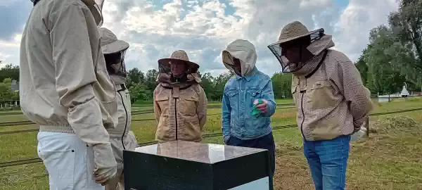Open dag Bijenvereniging Oranjewoud Imkers aan het werk Foto: Y. Versteeg