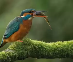 Foto geüpload door gebruiker Geldersch Landschap en Kasteelen Foto geüpload door gebruiker Geldersch Landschap en Kasteelen