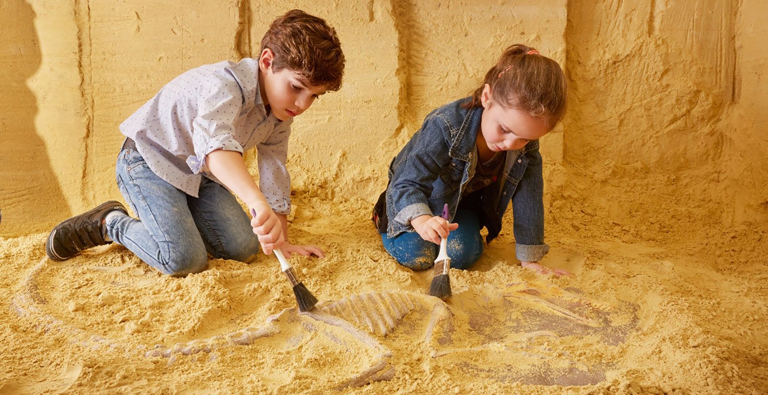 Zoeken naar dinobotten tussen de dino's! Maar dan lekker droog en beschut onder de grond. Foto: Mergelrijk