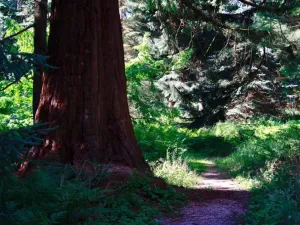 Foto: Hortus Botanicus Haren © Reina Jager