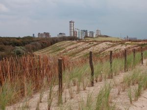 Nollebos Vlissingen