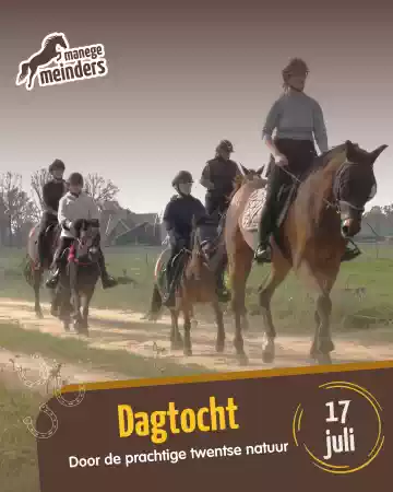 Dagtocht door de prachtige twentse natuur paarden, Foto: Carolien Krabbe