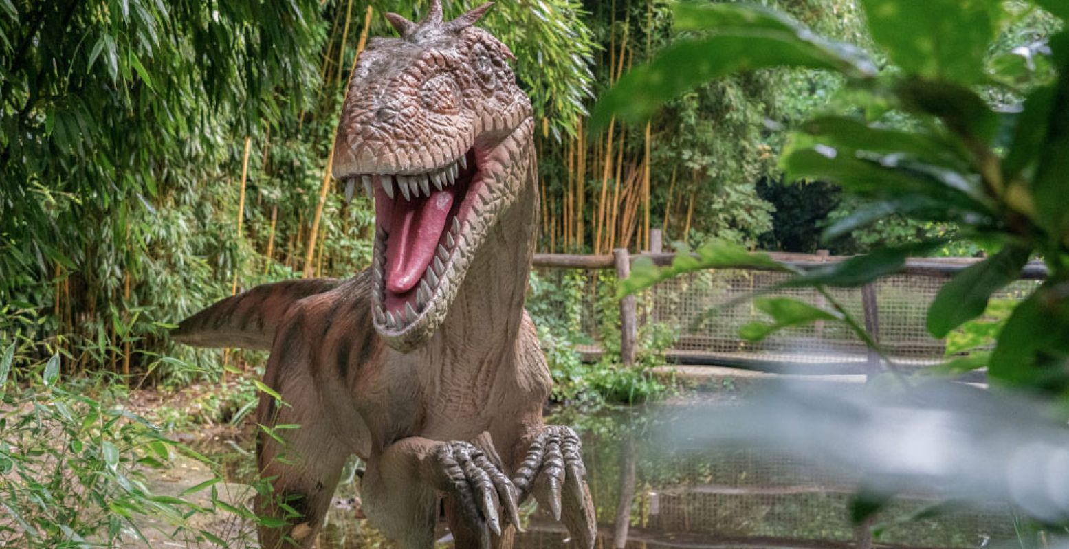 De fascinerende tijdelijke bewoners van ZooParc Overloon. Foto: ZooParc Overloon