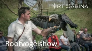 Roofvogelshow van Sjobbe Voet Foto geüpload door gebruiker Stichting Liniebreed Ondernemen.