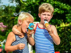 IJsjes gemaakt van verse melk. Foto: De Drentse Koe