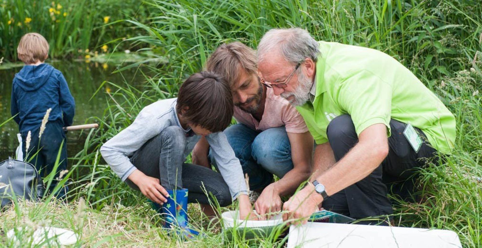 De natuurgids vertelt je alles over je vondsten. Foto: IVN