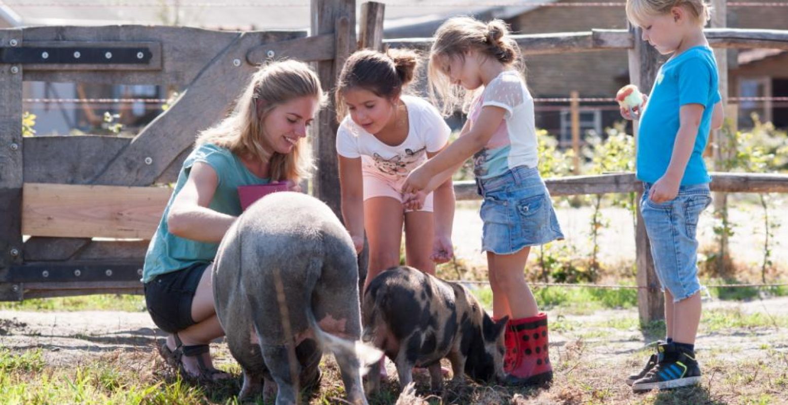 Genieten van het boerenleven. Foto: FarmCamps