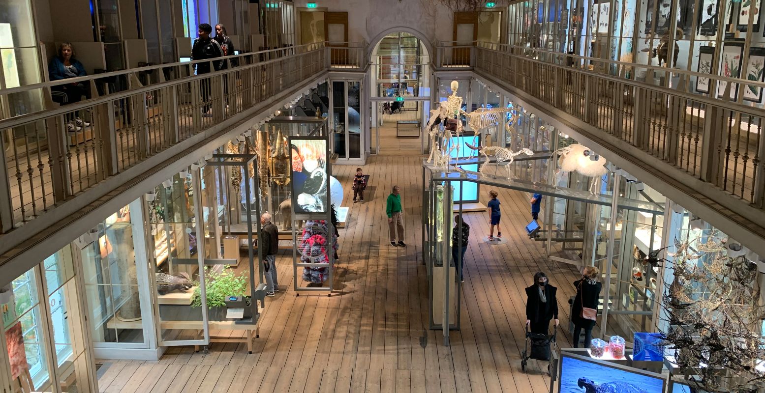 De Westzaal van het Groote Museum. Foto: Redactie DagjeWeg.NL