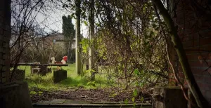 Groningen: de favorieten van Rineke Ontspannen in het groen bij de gezellige Buurttuin Oosterpoort. Foto: Rineke Kwant.