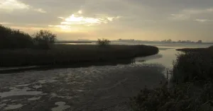 Vaar met zonsopkomst mee naar Vogeleiland Vaar met zonsopkomst mee naar Vogeleiland | Foto geüpload door gebruiker Natuurmonumenten.