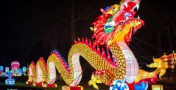 Een magisch lichtfeest in ZOO Antwerpen!