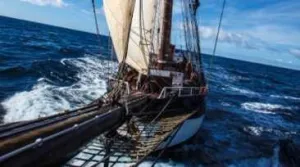 Schip ahoy! Verslag vanaf zeilschip _Oosterschelde_
