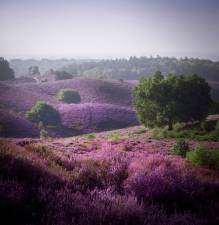 Met de gids op stap in Augustus | Foto geüpload door gebruiker Natuurmonumenten.